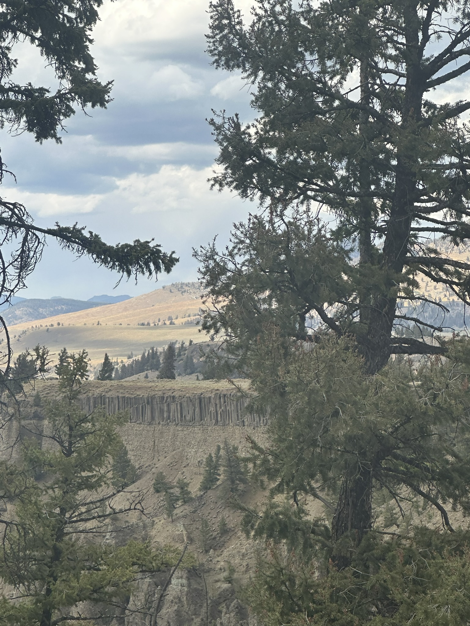 Yellowstone And Grand Teton National Parks - Image 854